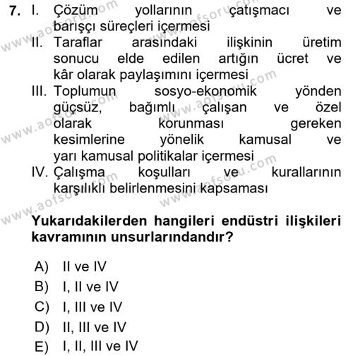 Endüstri İlişkileri Dersi 2024 - 2025 Yılı (Vize) Ara Sınavı 7. Soru