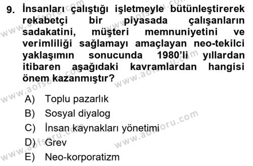 Endüstri İlişkileri Dersi 2024 - 2025 Yılı (Vize) Ara Sınavı 9. Soru