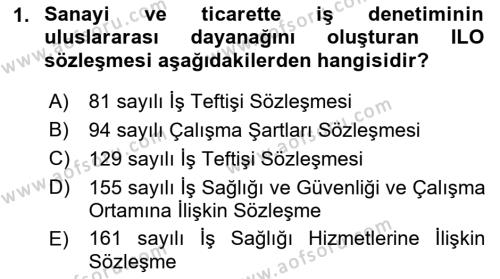 Çalışma Yaşamının Denetimi Dersi 2018 - 2019 Yılı (Final) Dönem Sonu Sınavı 1. Soru