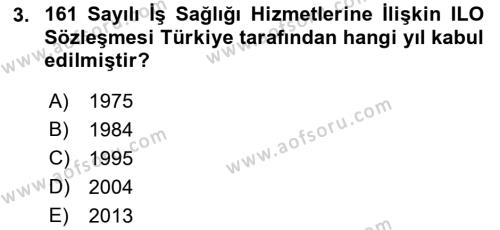 Çalışma Yaşamının Denetimi Dersi 2018 - 2019 Yılı (Final) Dönem Sonu Sınavı 3. Soru