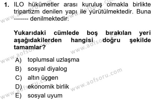 Çalışma Yaşamının Denetimi Dersi 2018 - 2019 Yılı Yaz Okulu Sınavı 1. Soru