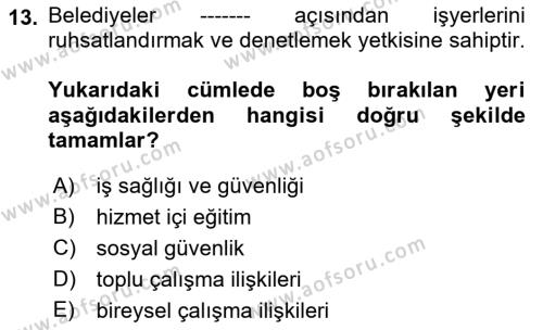 Çalışma Yaşamının Denetimi Dersi 2018 - 2019 Yılı Yaz Okulu Sınavı 13. Soru