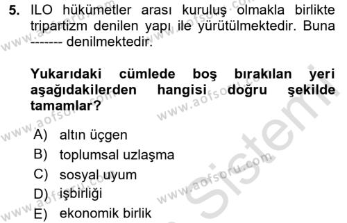 Çalışma Yaşamının Denetimi Dersi 2020 - 2021 Yılı Yaz Okulu Sınavı 5. Soru