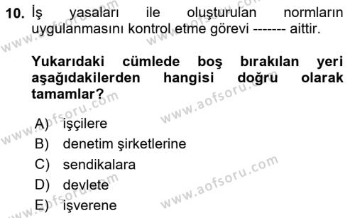 Çalışma Yaşamının Denetimi Dersi 2023 - 2024 Yılı (Vize) Ara Sınavı 10. Soru