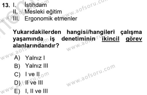 Çalışma Yaşamının Denetimi Dersi 2023 - 2024 Yılı (Vize) Ara Sınavı 13. Soru