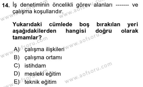 Çalışma Yaşamının Denetimi Dersi 2023 - 2024 Yılı (Vize) Ara Sınavı 14. Soru