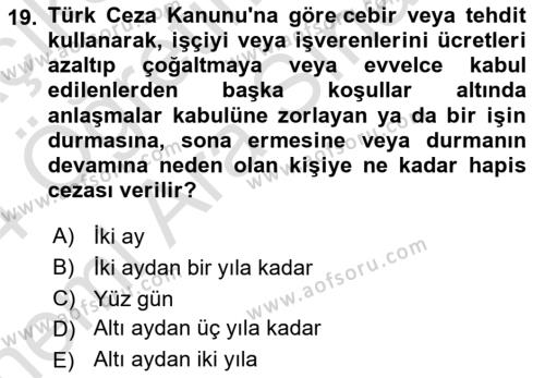 Çalışma Yaşamının Denetimi Dersi 2023 - 2024 Yılı (Vize) Ara Sınavı 19. Soru