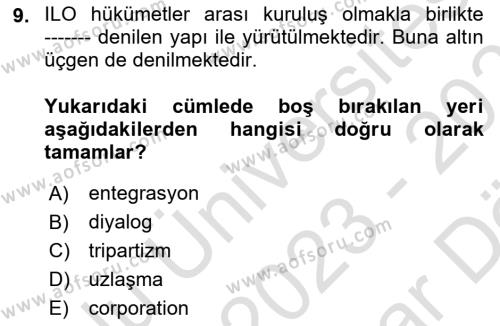 Çalışma Yaşamının Denetimi Dersi 2023 - 2024 Yılı (Vize) Ara Sınavı 9. Soru