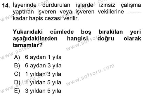 İş Sağlığı ve Güvenliği Dersi 2023 - 2024 Yılı Yaz Okulu Sınavı 14. Soru