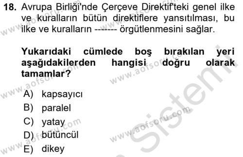 İş Sağlığı ve Güvenliği Dersi 2023 - 2024 Yılı Yaz Okulu Sınavı 18. Soru