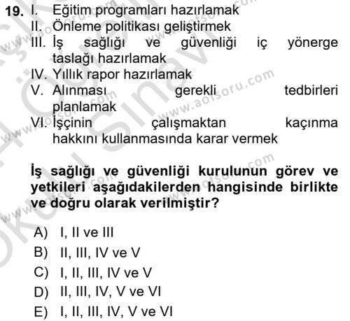 İş Sağlığı ve Güvenliği Dersi 2023 - 2024 Yılı Yaz Okulu Sınavı 19. Soru