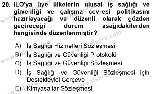 İş Sağlığı ve Güvenliği Dersi 2023 - 2024 Yılı Yaz Okulu Sınavı 20. Soru