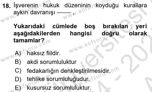 İş Sağlığı ve Güvenliği Dersi 2024 - 2025 Yılı (Vize) Ara Sınavı 18. Soru