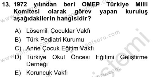 Çocuk Gelişiminde Alan Çalışmaları Dersi 2023 - 2024 Yılı (Final) Dönem Sonu Sınavı 13. Soru