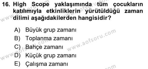 Çocuk Gelişiminde Alan Çalışmaları Dersi 2023 - 2024 Yılı (Final) Dönem Sonu Sınavı 16. Soru