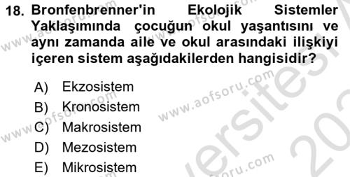 Çocuk Gelişiminde Alan Çalışmaları Dersi 2023 - 2024 Yılı (Final) Dönem Sonu Sınavı 18. Soru