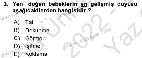 Çocuk Gelişimi Dersi 2022 - 2023 Yılı Yaz Okulu Sınavı 3. Soru