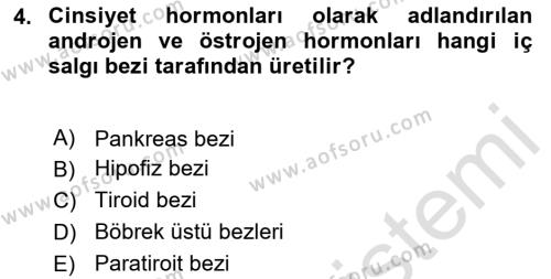 Gelişimsel Tanı Ve Değerlendirme Yöntemleri Dersi 2023 - 2024 Yılı (Final) Dönem Sonu Sınavı 4. Soru