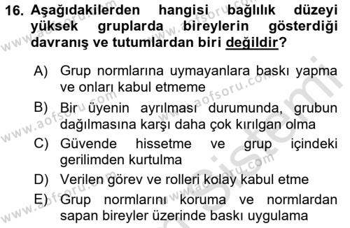 Toplantı Ve Sunu Teknikleri Dersi 2021 - 2022 Yılı Yaz Okulu Sınavı 16. Soru