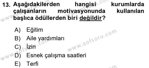 İş ve Yaşamda Motivasyon Dersi 2016 - 2017 Yılı 3 Ders Sınavı 13. Soru