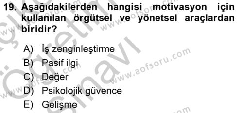 İş ve Yaşamda Motivasyon Dersi 2016 - 2017 Yılı 3 Ders Sınavı 19. Soru