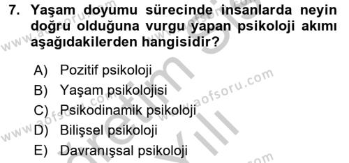 İş ve Yaşamda Motivasyon Dersi 2016 - 2017 Yılı 3 Ders Sınavı 7. Soru