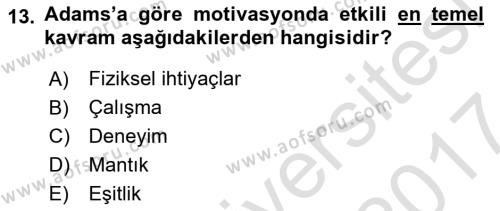 İş ve Yaşamda Motivasyon Dersi 2016 - 2017 Yılı (Final) Dönem Sonu Sınavı 13. Soru