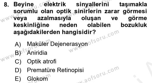 Bakıma Gereksinimi Olan Engelli Bireyler 1 Dersi 2018 - 2019 Yılı (Final) Dönem Sonu Sınavı 8. Soru