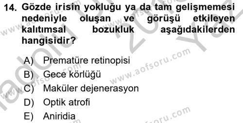 Bakıma Gereksinimi Olan Engelli Bireyler 1 Dersi 2018 - 2019 Yılı Yaz Okulu Sınavı 14. Soru