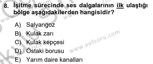 Bakıma Gereksinimi Olan Engelli Bireyler 1 Dersi 2018 - 2019 Yılı Yaz Okulu Sınavı 8. Soru