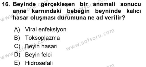 Bakıma Gereksinimi Olan Engelli Bireyler 1 Dersi 2020 - 2021 Yılı Yaz Okulu Sınavı 16. Soru