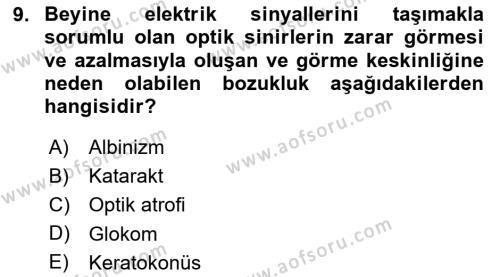 Bakıma Gereksinimi Olan Engelli Bireyler 1 Dersi 2020 - 2021 Yılı Yaz Okulu Sınavı 9. Soru