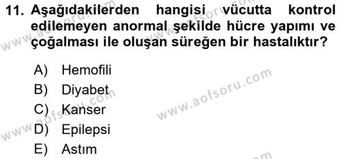 Bakıma Gereksinimi Olan Engelli Bireyler 1 Dersi 2021 - 2022 Yılı Yaz Okulu Sınavı 11. Soru