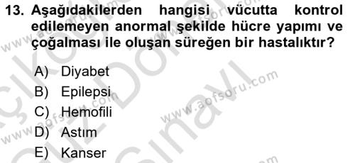 Bakıma Gereksinimi Olan Engelli Bireyler 1 Dersi 2022 - 2023 Yılı (Final) Dönem Sonu Sınavı 13. Soru