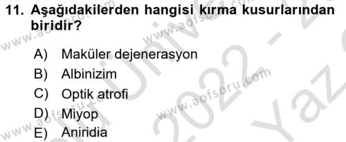 Bakıma Gereksinimi Olan Engelli Bireyler 1 Dersi 2022 - 2023 Yılı Yaz Okulu Sınavı 11. Soru