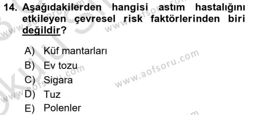 Bakıma Gereksinimi Olan Engelli Bireyler 1 Dersi 2022 - 2023 Yılı Yaz Okulu Sınavı 14. Soru