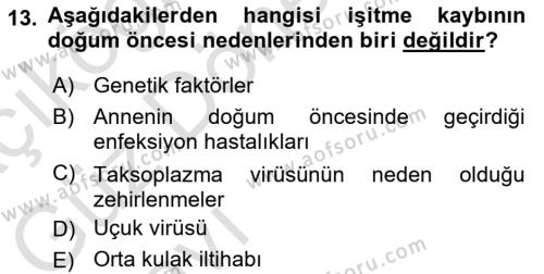 Bakıma Gereksinimi Olan Engelli Bireyler 1 Dersi 2023 - 2024 Yılı (Vize) Ara Sınavı 13. Soru