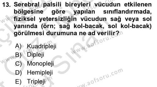 Bakıma Gereksinimi Olan Engelli Bireyler 1 Dersi 2023 - 2024 Yılı (Final) Dönem Sonu Sınavı 13. Soru