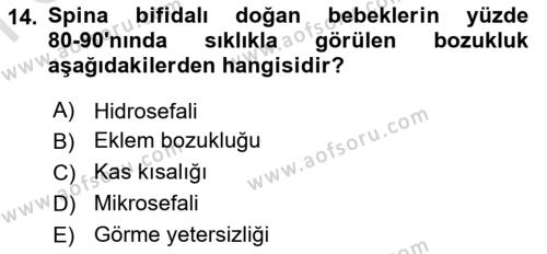 Bakıma Gereksinimi Olan Engelli Bireyler 1 Dersi 2023 - 2024 Yılı (Final) Dönem Sonu Sınavı 14. Soru