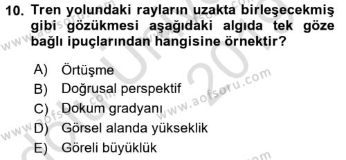 İnsan ve Davranış Dersi 2018 - 2019 Yılı 3 Ders Sınavı 10. Soru