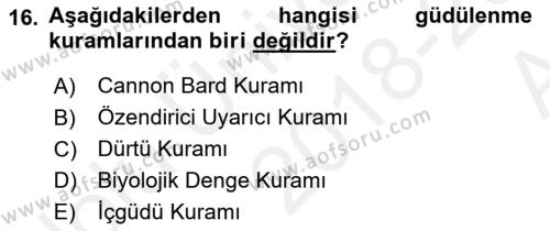 İnsan ve Davranış Dersi 2018 - 2019 Yılı (Vize) Ara Sınavı 16. Soru