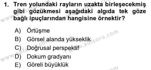 İnsan ve Davranış Dersi 2018 - 2019 Yılı (Final) Dönem Sonu Sınavı 1. Soru