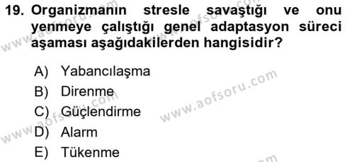 İnsan ve Davranış Dersi 2018 - 2019 Yılı Yaz Okulu Sınavı 19. Soru