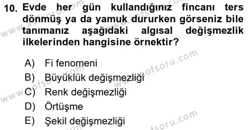 İnsan ve Davranış Dersi 2021 - 2022 Yılı (Vize) Ara Sınavı 10. Soru