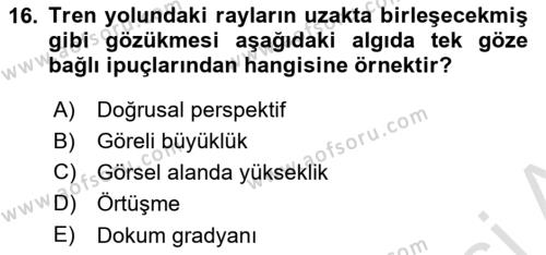 İnsan ve Davranış Dersi 2021 - 2022 Yılı (Vize) Ara Sınavı 16. Soru