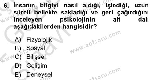 İnsan ve Davranış Dersi 2021 - 2022 Yılı (Vize) Ara Sınavı 6. Soru