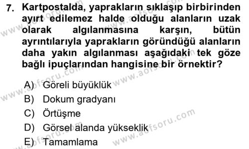 İnsan ve Davranış Dersi 2021 - 2022 Yılı (Vize) Ara Sınavı 7. Soru