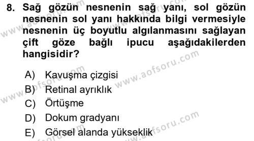 İnsan ve Davranış Dersi 2021 - 2022 Yılı (Vize) Ara Sınavı 8. Soru