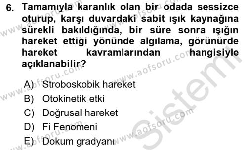 İnsan ve Davranış Dersi 2021 - 2022 Yılı Yaz Okulu Sınavı 6. Soru