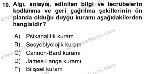 İnsan ve Davranış Dersi 2022 - 2023 Yılı (Vize) Ara Sınavı 10. Soru